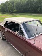 1965 Ford Mustang Picture 11