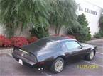 1979 Pontiac Trans Am Picture 11