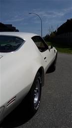 1974 Pontiac Trans Am Picture 11