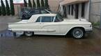 1959 Ford Thunderbird Picture 12