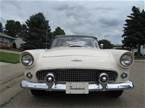 1956 Ford Thunderbird Picture 12