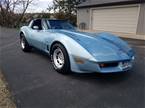 1982 Chevrolet Corvette Picture 12