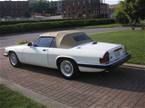 1988 Jaguar XJS Picture 12