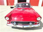 1955 Ford Thunderbird Picture 12