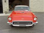 1957 Ford Thunderbird Picture 12