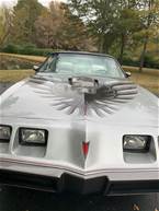 1979 Pontiac Trans Am Picture 12