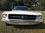 1967 Ford Mustang Picture 13