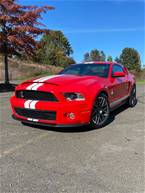 2011 Ford Shelby Picture 13