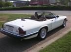 1988 Jaguar XJS Picture 13