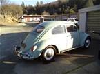 1964 Volkswagen Beetle Picture 13