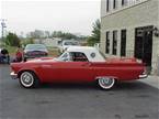 1957 Ford Thunderbird Picture 13