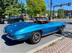 1965 Chevrolet Corvette Picture 13