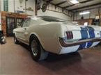 1966 Ford Shelby Picture 13