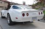 1981 Chevrolet Corvette Picture 14