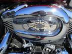 2004 Other Harley Davidson XL1200C Picture 14