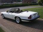 1988 Jaguar XJS Picture 14