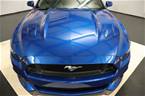 2017 Ford Mustang Picture 14