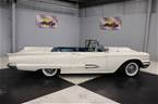 1959 Ford Thunderbird Picture 15