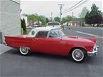 1957 Ford Thunderbird Picture 15