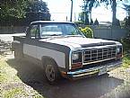 1982 Dodge D150 Picture 2