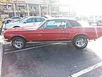 1967 Ford Mustang Picture 2