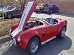 1985 Ford Cobra Picture 2