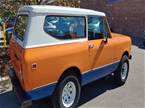 1979 International Scout Picture 2