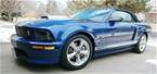 2008 Ford Shelby Picture 2