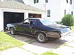 1979 Oldsmobile Hurst Picture 2