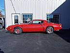 1980 Pontiac Trans Am Picture 2