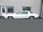 1977 Chevrolet Camaro Picture 2