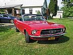 1967 Ford Mustang Picture 2