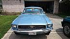 1967 Ford Mustang Picture 2