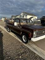 1979 Chevrolet C20 Picture 2