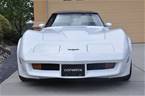 1981 Chevrolet Corvette Picture 2