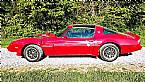 1979 Pontiac Firebird Picture 2