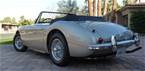 1965 Austin Healey 3000 Picture 2