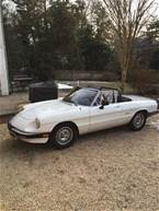 1986 Alfa Romeo Spider Picture 2