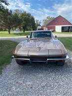 1964 Chevrolet Corvette Picture 2