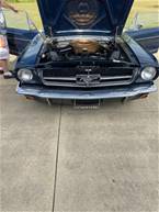 1964 Ford Mustang Picture 2