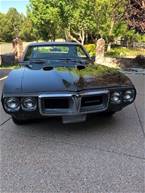 1969 Pontiac Firebird Picture 2