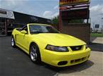 2003 Ford Mustang Picture 2