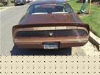 1979 Pontiac Trans Am Picture 2
