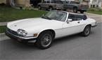 1990 Jaguar XJS Picture 2