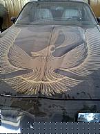 1981 Pontiac Trans Am Picture 2