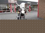 2005 Yamaha Road Star Picture 2