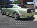 2006 Ford 3V Saleen Picture 2