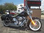 2009 Other H-D Softail Picture 2
