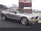 2009 Ford Shelby Picture 2