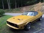 1974 Ford Mustang Picture 2